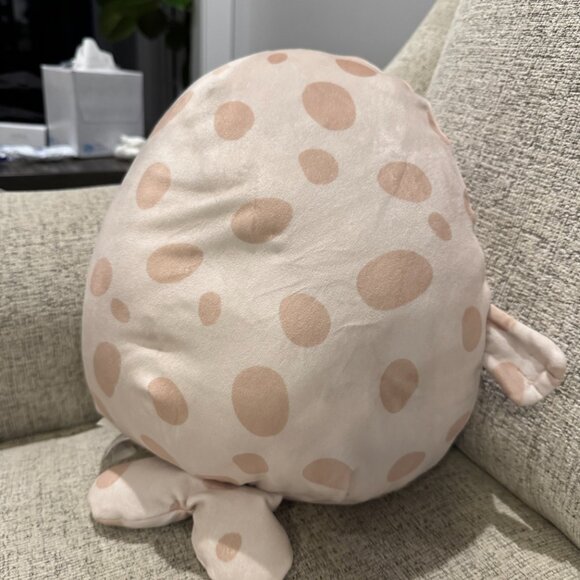 Squishmallows Lilou 12” Seal Pup Walrus Deep Sea Lion Ocean Spotted Dodgeball - Picture 4 of 13